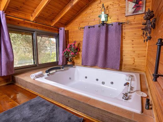 Lodge Hadas - Avdon