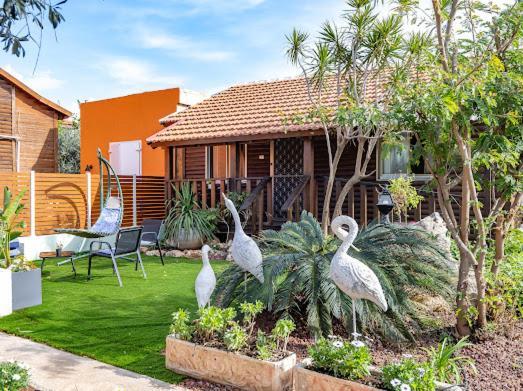 Hadas - Lodge Avdon
